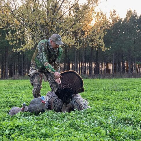 Avian-X LCD Laydown Hen Turkey Decoy | Durable Realistic Lifelike Collapsible Standing Hunting Decoy with Carry Bag & Stake, AVX8011 in Kuwait
