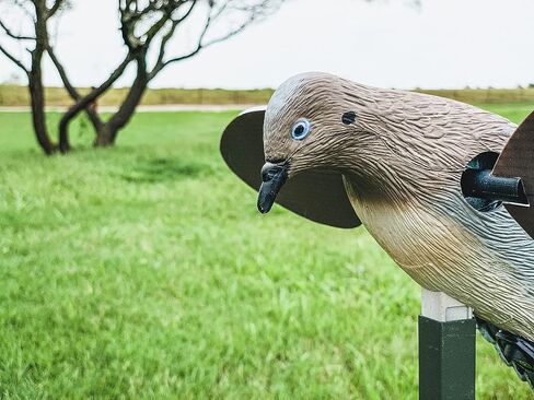 Mojo Outdoors Voodoo Dove Decoy - Motion Dove Decoy for Hunting, Multicolor in Saudi Arabia