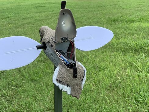 Mojo Outdoors Voodoo Dove Decoy - Motion Dove Decoy for Hunting, Multicolor in Saudi Arabia