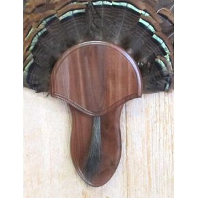 The Black Walnut Turkey Mounting Kit with Beard Plate -02 in Saudi Arabia