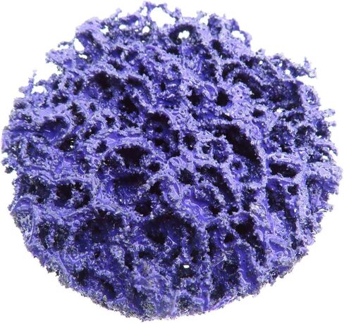 SIGNI Poly Strip & Clean Disc Quick Change for Paint Rust and Oxidation 10 Pack (Purple, 2 INCH) in Saudi Arabia