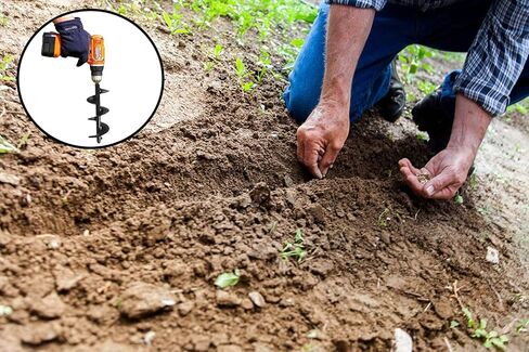 Ashman Auger 12inch Pack Two، حديقة النباتات زهرة لمبة اوجير لزراعة شتلات المصباح in Kuwait