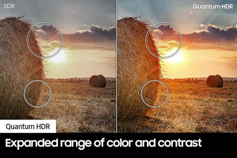 سامسونج 43 بوصة فئة QLED 4K Q60B سلسلة مزدوجة LED الكم HDR تلفزيون ذكي مع أليكسا مدمج (QN43Q60BAFXZA، طراز 2022) in Kuwait