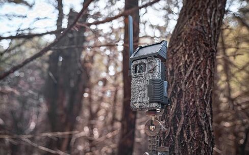 SPYPOINT Link-Micro-S-LTE Solar Cellular Trail Camera with LIT-10 Battery and 32 GB Micro SD Card (Link-Micro-S-LTE-V) in Saudi Arabia