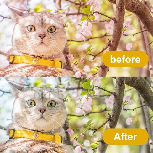 بطاقة ChromLives White Balance باللون الرمادي مقاس 5 بوصات × 4 بوصات للفيديو DSLR والأفلام المتميزة مجموعة بطاقات التصوير الفوتوغرافي للتعرض بنسبة 18%، أسود أبيض و18% رمادي in Kuwait