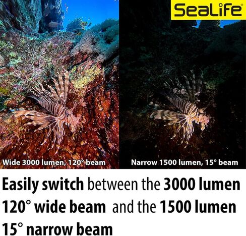 SEALIFE Sea Dragon 3000SF Pro Dual Beam Compact Underwater Scuba Diving Photo-Video COB LED Light, LED-Light Head Only in Saudi Arabia