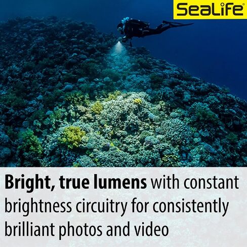 SEALIFE Sea Dragon 3000SF Pro Dual Beam Compact Underwater Scuba Diving Photo-Video COB LED Light, LED-Light Head Only in Saudi Arabia