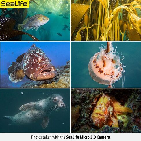 SeaLife Micro 3.0 Pro Duo 5000 Set Underwater Camera & Dual Light Set for Photography and Video, Easy Set-up, Wireless Transfer, Includes Travel case in Saudi Arabia