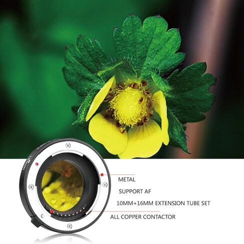 MEIKE MK-F-AF3 Auto Fucus Macro Extension Tube for Compatible with All Fujifilm Mirrorless Camera(10mm 16mm only or conbination) X-T1 X-T2 X-Pro1 X-Pro2 X-T10 X-A1 X-E1 X-E2 X-E3 X-T20 X-T3 X-T30 etc in Saudi Arabia