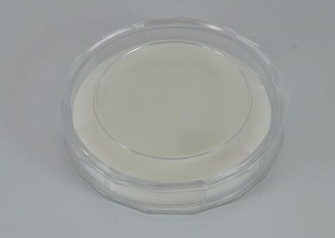 MARUMI 004114 MC-Y2 Camera Filter for Black and White Photography, 2.6 inches (67 mm) in Kuwait