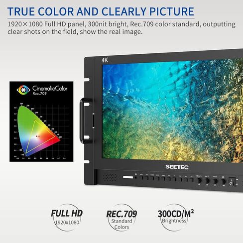 SEETEC P173-9HSD-RM 17.3" 7RU Rack Mount Broadcast LCD Director Monitor with 3G-SDI HDMI YPbPr Input and Output Full HD 1920×1080 in Saudi Arabia