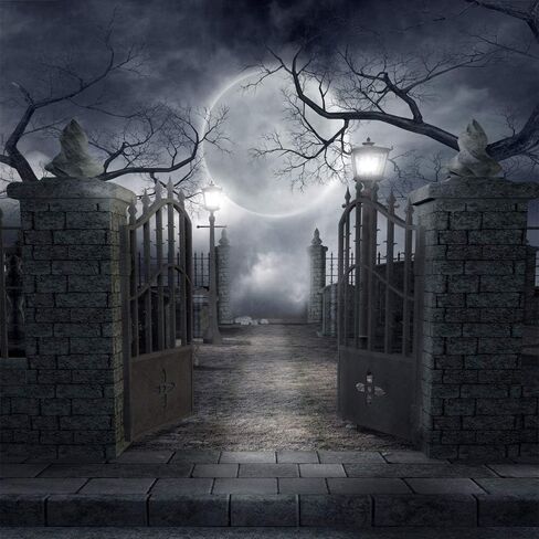 Halloween Night Full Moon Backdrop Gloomy Woods Graveyard Photography Background Horrible Cemetery Spooky Party Banner Halloween Party Decoration Photo Booth Props 7X5FT TP17F in Saudi Arabia