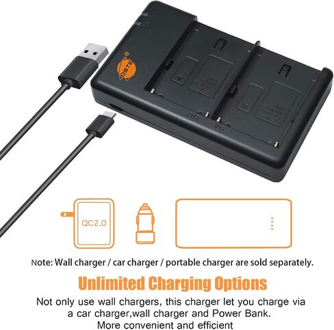 DSTE 2 Pack NP-FM50 Battery + Rapid Dual USB Charger Compatible for Sony CCD-FRV DCR-PC DCR-TRV DCR-DVD DSR-PDX GV HVL Series Camera as NP-FM30 NP-FM51 QM50 QM51 FM55H in Saudi Arabia