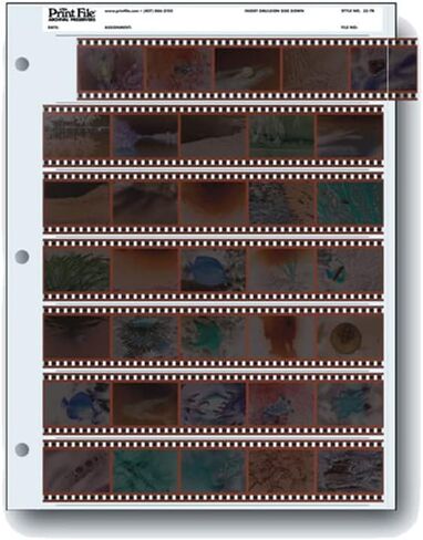 Ilford HP5 Plus Black and White Negative Film (35mm Roll Film, 36 Exposures) Bundle with Ilford MULTIGRADE RC Deluxe Paper and Print File 35mm Archival Storage Pages in Saudi Arabia
