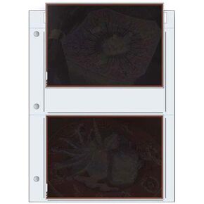 Print File Negative Pages Holds Two 5" X 7" Sleeved Negative or Transparency, Pack of 100 in Kuwait