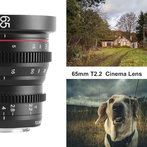 MEKE 65mm T2.2 Large Aperture Manual Focus fix Low Distortion Mini Cine Lens for Fujifilm X Mount Cameras X-H1 X-T3 X-T20 X-T10 X-T2 X-Pro2 X-E3 X-T1 X-A2 -T100 X-E1 X30 X70 X-M1 Zenith Digital Bay in Saudi Arabia