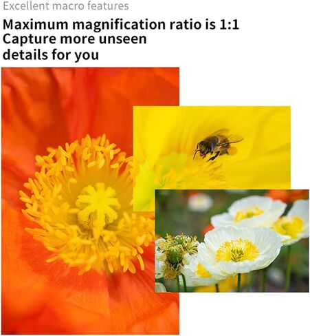 7artisans 60mm F2.8 II Macro Lens Manual Fixed Camera Lens for MFT M4/3 Mount Mirrorless Cameras E-PL1 E-PL2 E-PL3 E-PL5 E-PL6 E-PL7 GH2 GH3 GH4 GH5 GH5S GM1 GM5 GM7 GX1 GX7 GX8 in Saudi Arabia