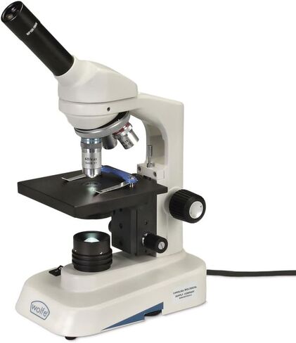 Wolfe LED Educational Microscope in Saudi Arabia