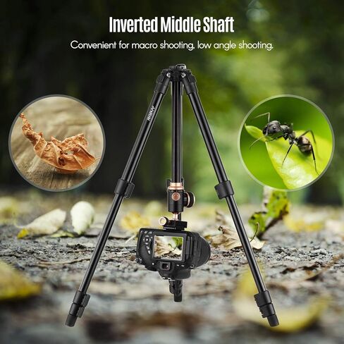 Andoer Q160SA Camera Tripod Complete Tripods with Panoramic Ballhead Bubble Level Adjustable Height Portable Travel Tripod for DSLR Digital Cameras Camcorder Compatible with Canon Nikon Sony in Kuwait