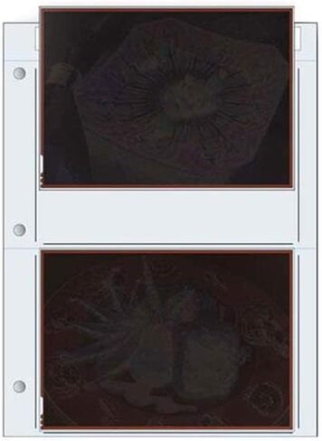 Print File Negative Pages Holds Two 5" X 7" Sleeved Negative or Transparency, Pack of 100 in Kuwait