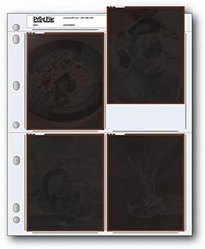 Printfile 4 4" X 5" سلبية 100 حزمة - Printملف 454B100 in Kuwait