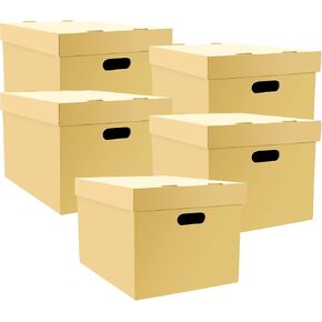 Lineco, RTA Record Storage Carton, 12x15x10 Inch, Archival Acid-Free Buffered Double Layered Panels, No Adhesive or Tools Needed (Pack of 5) Tan in Kuwait