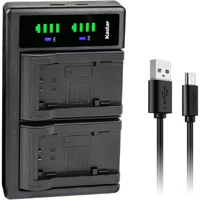 Kastar LTD2 USB Battery Charger Replacement for JVC LY37166-002B, LY37166-002C, Everio GZ-E10, Everio GZ-E100, Everio GZ-E180, Everio GZ-E200 GZ-E200AU GZ-E200BU GZ-E200RU, Everio GZ-E205 in Saudi Arabia