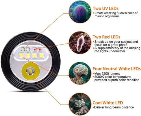ORCATORCH D950V 2.0 Scuba Diving Video Light, Max 10500 Lumen LED Underwater Flashlight with 120 Degree Wide Angle Beam, Underwater 150 Meters Diving Photography Light with Spherical Toughened Glass in Kuwait