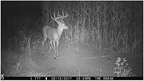 Browning Trail Cameras Strike Force Extreme 16 MP Game Cameras (2-Pack) Bundle with USB Card Reader (3 Items) in Saudi Arabia