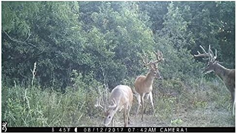 Browning Trail Cameras Strike Force Extreme 16 MP Game Cameras (2-Pack) Bundle with USB Card Reader (3 Items) in Saudi Arabia