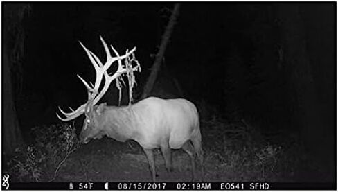 Browning Trail Cameras Strike Force Extreme 16 MP Game Cameras (2-Pack) Bundle with USB Card Reader (3 Items) in Saudi Arabia