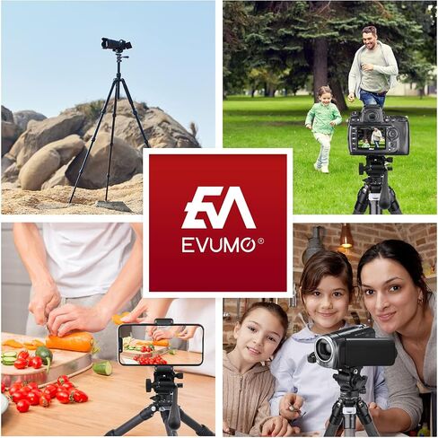 H3 Mini Fluid Video Tripod Head, 360° Panoramic Compact Lightweight Camera Video Head for Tripod DSLR Camcorder Telescope, with Quick Release Plates & Detachable Handle, Max Load 8.8lbs/4.0kg in Saudi Arabia