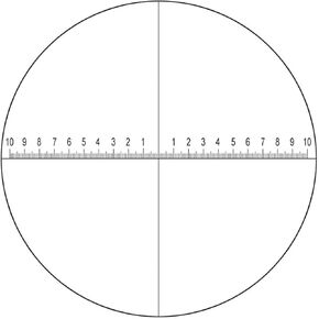 Microscope Accessories Kit DIV 0.1 Mm Eyepiece Micrometer for Stereo Microscope Reticle Vertical Line Diameter 24 Mm/26 Mm Microscope Slides (Color : Diameter 24 mm) in Kuwait