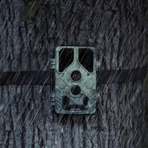 Camouflage EZ45 -WiFi Wildcamera in Saudi Arabia