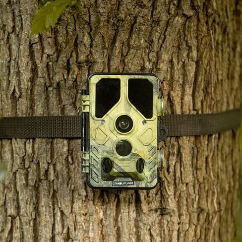 Camouflage EZ45 -WiFi Wildcamera in Saudi Arabia