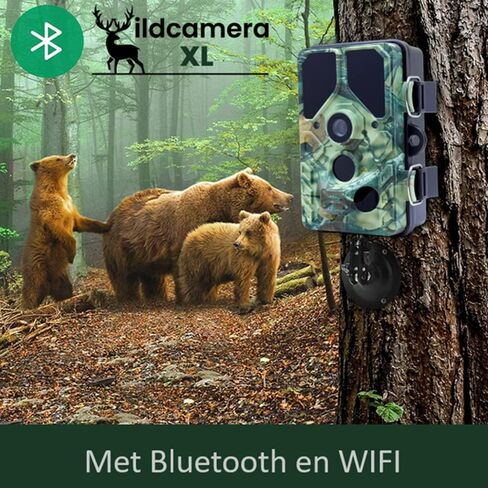 Camouflage EZ45 -WiFi Wildcamera in Saudi Arabia