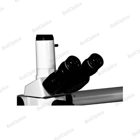 BoliOptics Five Head Microscope Multiview Teaching Trinocular Compound Microscope 40X-1000X LED Light Biological Infinity Plan Achromatic Objectives Abbe Condenser Colored Filters in Kuwait