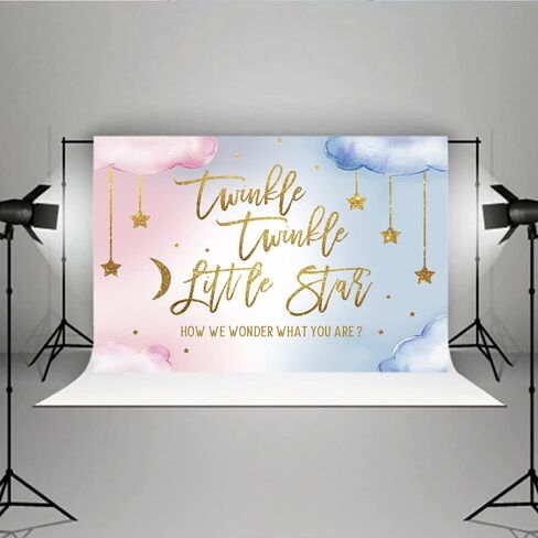 Lofaris Twinkle Twinkle Little Star Gender Reveal Backdrop Boy or Girl Pink or Blue How We Wonder What You are Golden Star Party Decoration Photography Background Cake Table Banner Wallpaper 5x3ft in Kuwait