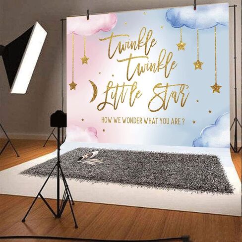 Lofaris Twinkle Twinkle Little Star Gender Reveal Backdrop Boy or Girl Pink or Blue How We Wonder What You are Golden Star Party Decoration Photography Background Cake Table Banner Wallpaper 5x3ft in Kuwait
