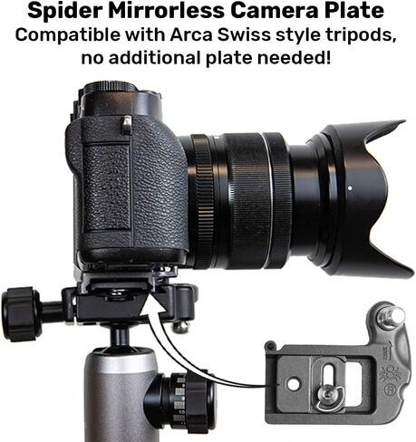 Spider Holster - نظام الكاميرا الفردية SpiderPro DSLR v2 لحمل كاميرا احترافية واحدة ومعدات ثقيلة تتميز بحزام مع حافظة كاميرا مدمجة ذاتية القفل للوصول الآمن إلى الكاميرا ذات السحب السريع in Kuwait