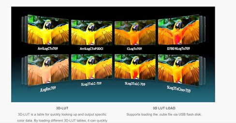 LILLIPUT 15.6" Q15-VBP 12G-SDI HDMI 2.0 in&Out Broadcast Production Studio Monitor 12G-SFP Fiber Optic Input Connection HDR & 3D-LUT in Saudi Arabia