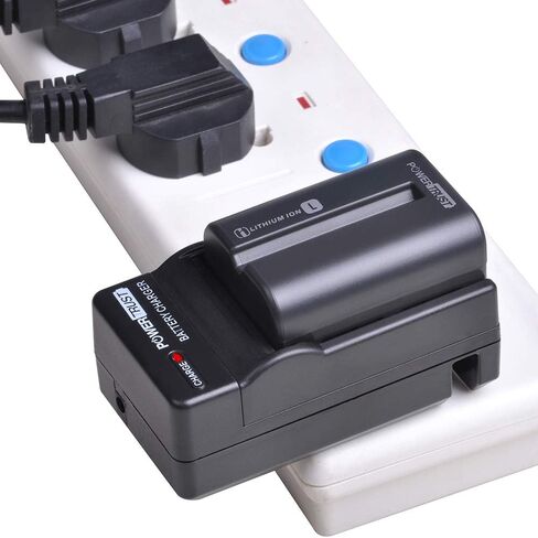 PowerTrust 2-Pack NP-FM500H Battery and Fast Charger for Sony Alpha A58 A57 A65 A77 A99 A900 A700 A580 A560 A550 A850 Batteries in Saudi Arabia
