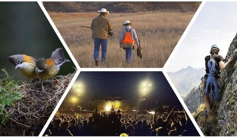 ZAPION High Lineament Astronomy 3 inch Telescope Newtonian Reflector Astronomic Space Telescope Outdoor Practical Telescope in Kuwait