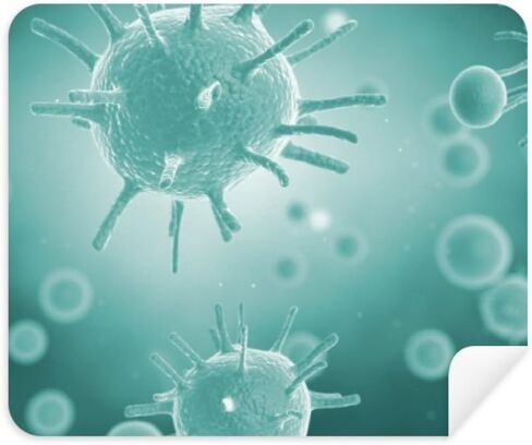 Creature Cell Picture Microscope Pattern Cleaning Cloth Screen Cleaner 2pcs Suede Fabric in Kuwait