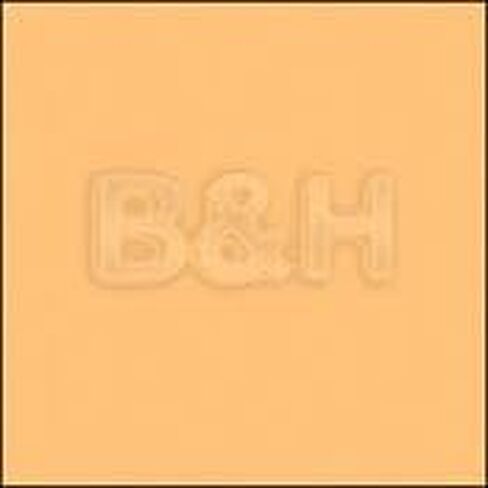 Rosco Roscolux Straw Tint, 20x24" Color Effects Lighting Filter in Saudi Arabia