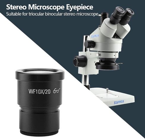 Stereo Microscope Eyepiece Mounting Size 30mm WF10X/20 Wide Field Lenses in Saudi Arabia