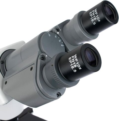 AmScope B450 40X-1000X LED Siedentopf Binocular Compound Microscope w/ 3D Two-Layer Mechanical Stage in Saudi Arabia