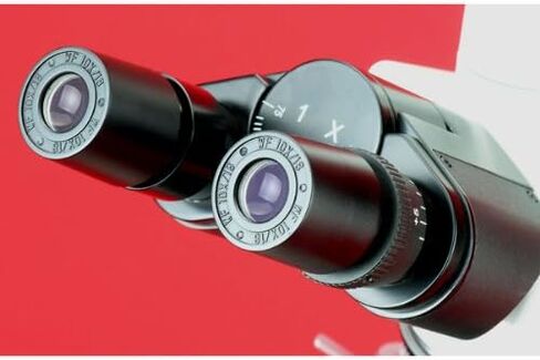 AmScope 40X-1600X مجهر مجمع كوهلر للأبحاث البيولوجية المتقدمة + كاميرا USB3.0 بدقة 14 ميجابكسل in Kuwait