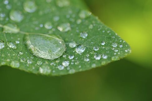 Olympus Evolt E-410 10x High Definition 2 Element Close-Up (Macro) Lens (67mm) in Kuwait