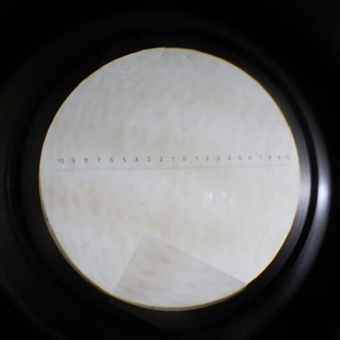 JUIYU Microscope Accessories Kit DIV 0.1 Mm Eyepiece Micrometer for Stereo Microscope Reticle Vertical Line Diameter 24 Mm 26 Mm Microscope Slides (Color : Diameter 24 mm) in Saudi Arabia